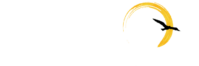 תמר בנימין – צלמת ילדים ומשפחה בטבע